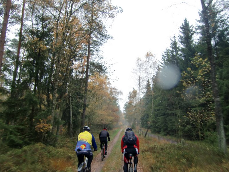 Wilseder Berg 1 2010 023